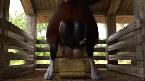 Horse balls deep