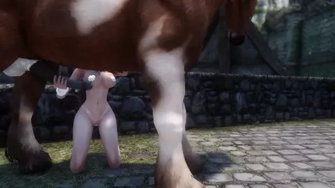 Horse vídeo 11