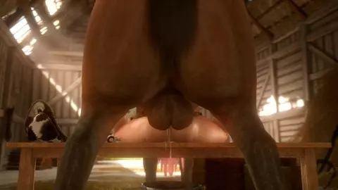 Horse vídeo 9