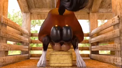 Horse workout
