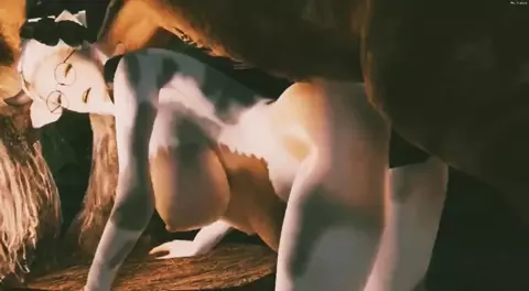 Horse video 28