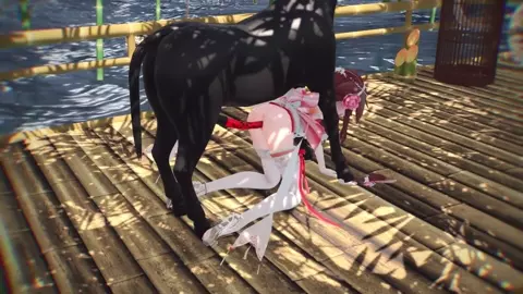 Horse video 58