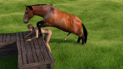 Horse video 70