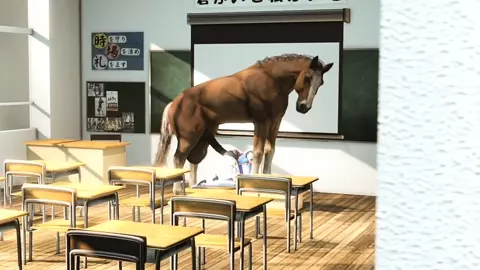 Horse video 138 - Marie Rose
