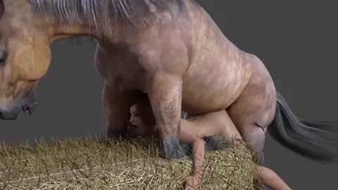Horse Video - 172