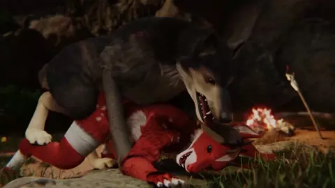 Wolf and fox