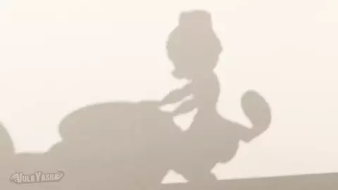 Tails Fucked