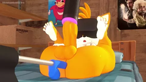 Immersive Experience