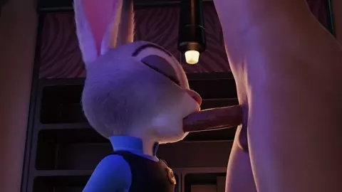 Judy Comp Warm