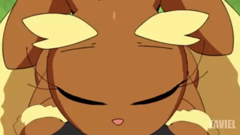Lopunny『Zaviel』