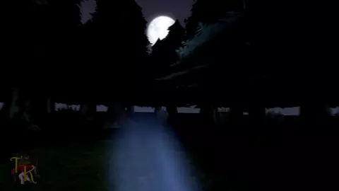 ToasterKing - Paper in the Forest