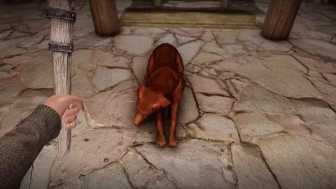 Guard's Dog