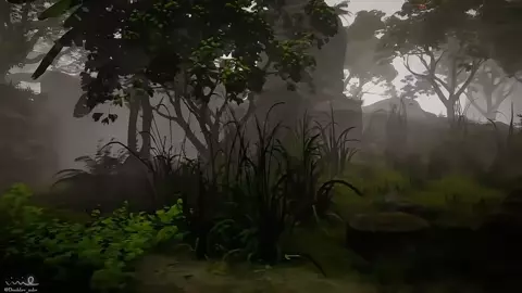 Veera (vivio)