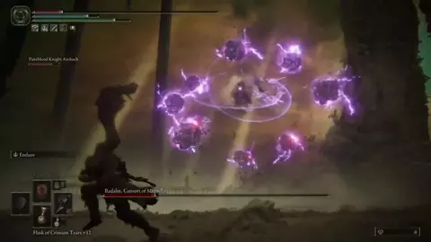 Ankha Video