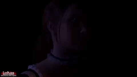 THE MASTER'S MAID