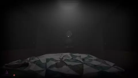 The Visitor