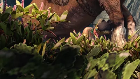Kassandra's Service