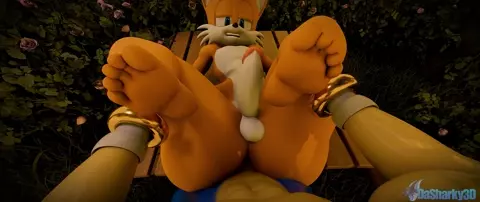 [Dasharky3d] Sonic X Tails
