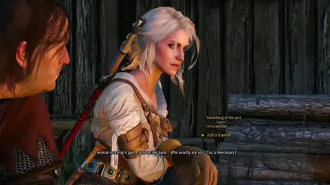 WITCHER COMPILATION
