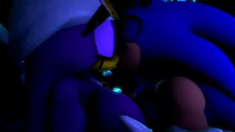 Sonic and Wave Night Sex [saucereturns]