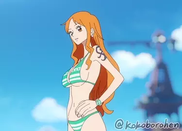 Nami x Luffy Preview [kokoborohen]