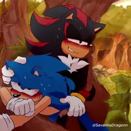 Shadow and Sonic [SavannaDragonn]