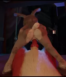 Judy Hopps tries reverse cowgirl on Nick