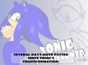 Sonic Transformed