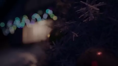 Merry Christmas「Rabbdo」