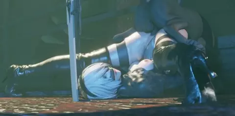 2b x Dog