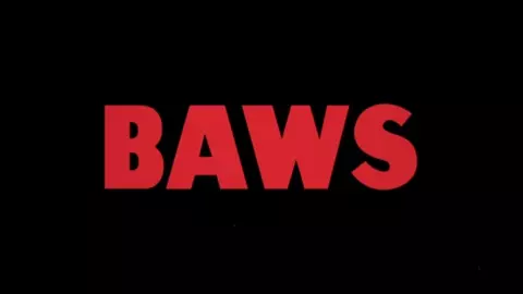 [SFM] BAWS