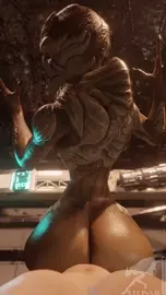 Vetra Nyx enjoys the views