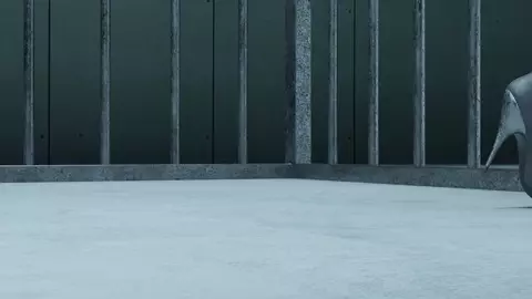 Ada in cell