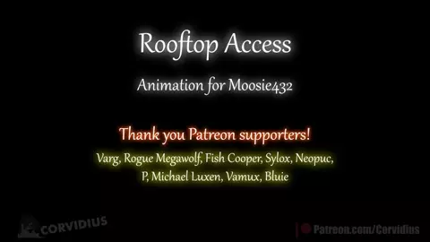 Rooftop Access