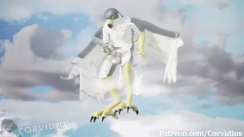 Corv Plane Hump