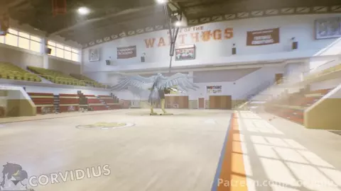 Gym Workout