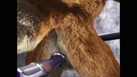 Ass Cam 2 Taurin Fox
