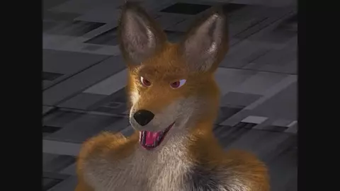 Evil Box Taurin Fox