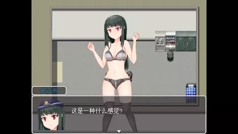 Super search officer