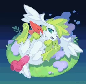 Shaymin Canine Penetration