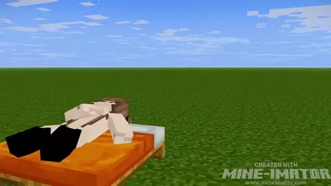 Stranger impregnating a Minecraft teen