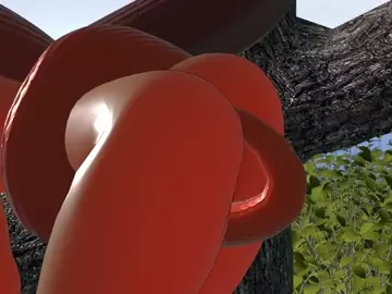 Hypno Anal