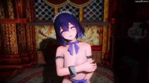 Maid Seele Honkai impact 3rd missionary