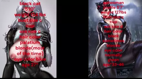 catwoman vs black cat mk 4