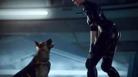 [HMV] DOG LOVERS