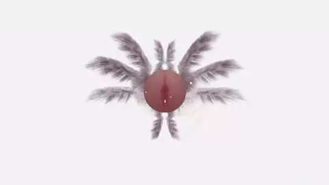 Portal Activation