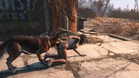 Dog meat and Nora