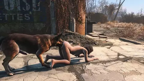 Dog meat and Nora 2