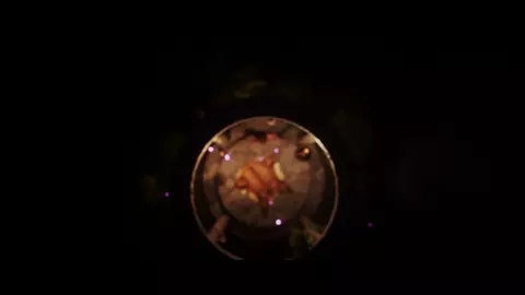 Sacrifice