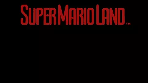 W.T.Dinner Super Mario Land Daisy